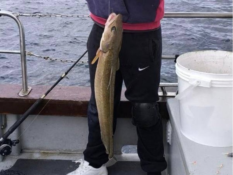 Cork with Anthony Lane