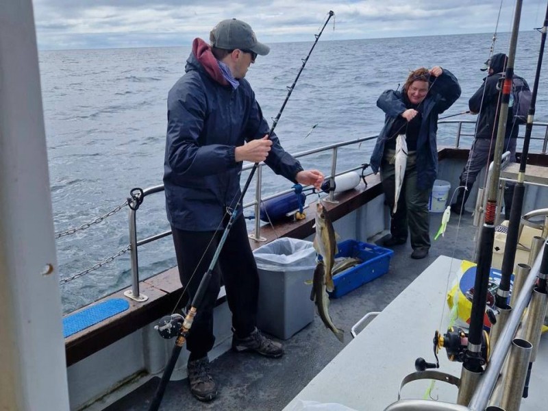 Cork with Anthony Lane