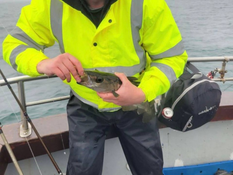 Cork with Anthony Lane