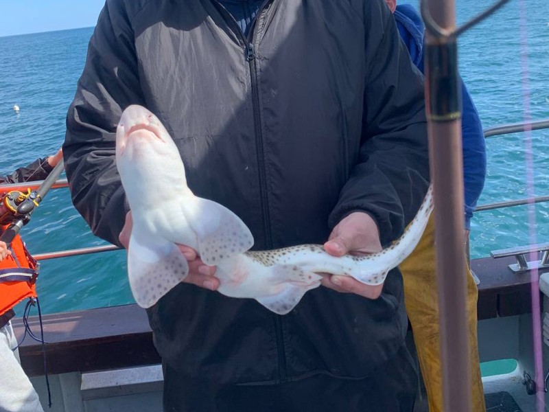 Cork with Anthony Lane