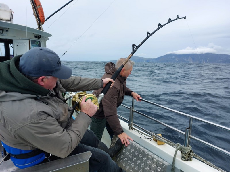 Bluefin Tuna in Donegal - Declan McGettigan