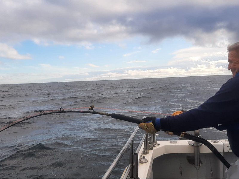 Bluefin Tuna in Donegal - Declan McGettigan