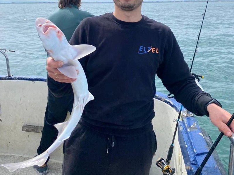 Dublin with David Doyle