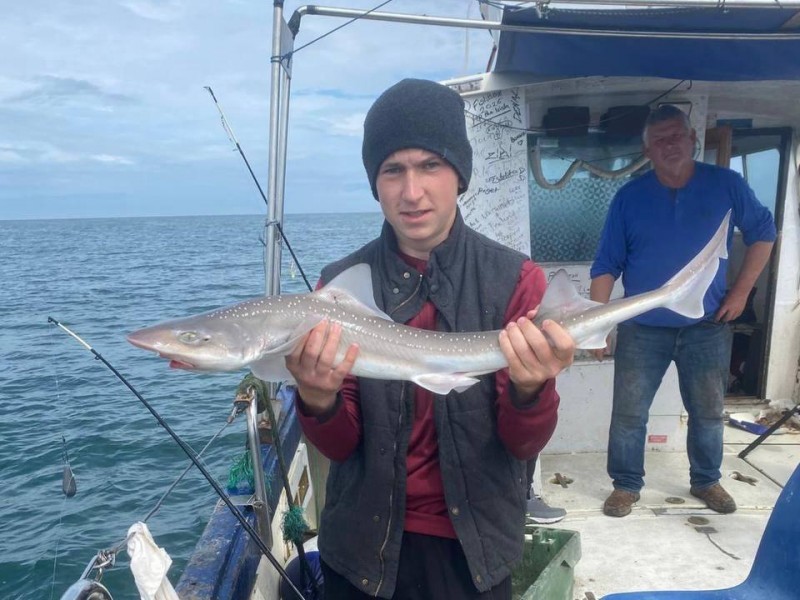 Dublin with David Doyle