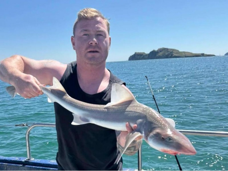 Dublin with David Doyle