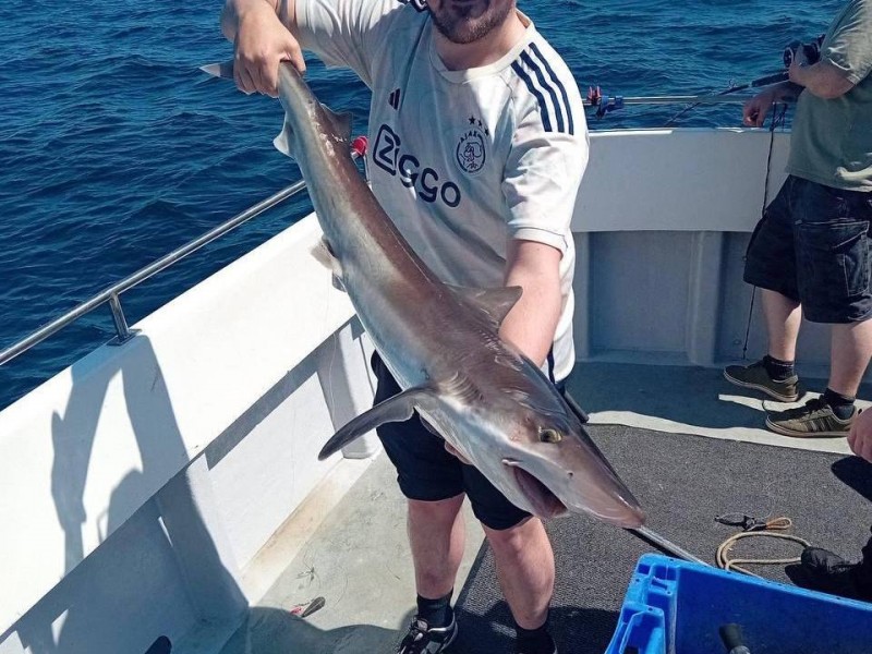 Dublin with David Doyle