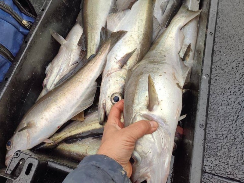 Kerry with Brendan O’Connell