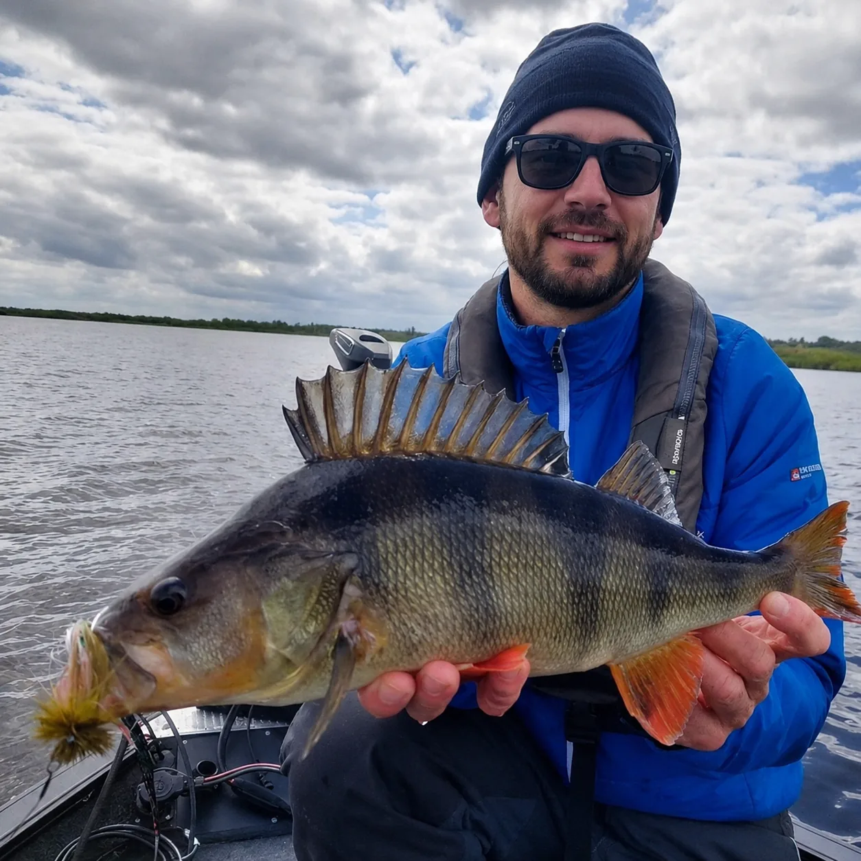 Angler holding a large perch caught on the fly on an Irish lake.